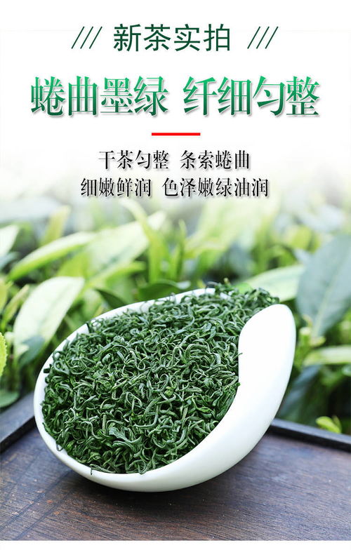 日照充足，高山云霧間品味春意 2020新茶炒青茶品鑒